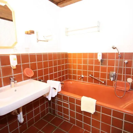 Spacious Apartment In Ramsau Am Dachstein With Swimming Pool דירה